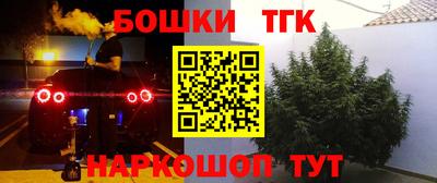 ешки Краснознаменск