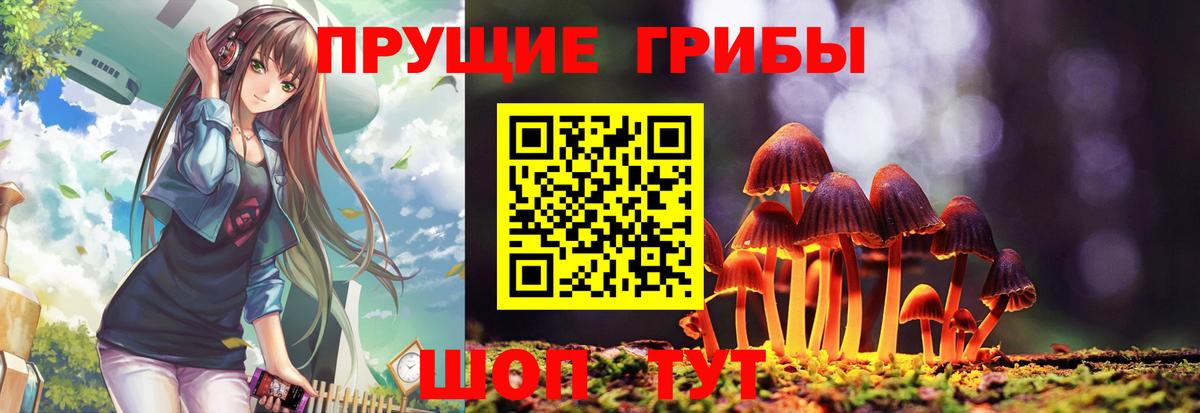 Коряжма  Псилоцибиновые грибы Psilocybe  Вход с VPN 