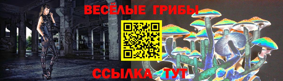 Галлюциногенные грибы Magic Shrooms Коряжма